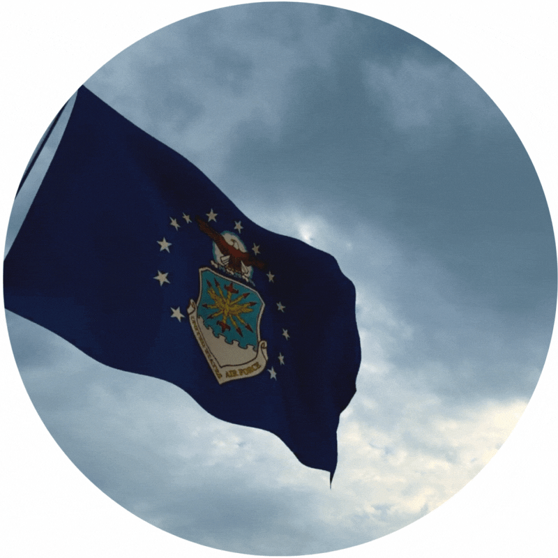 TXSwiss GOVERNMENT DEFENSE)